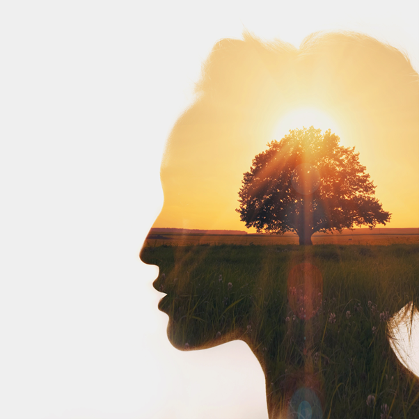 Silouhette on woman's head with a tree image - artistic