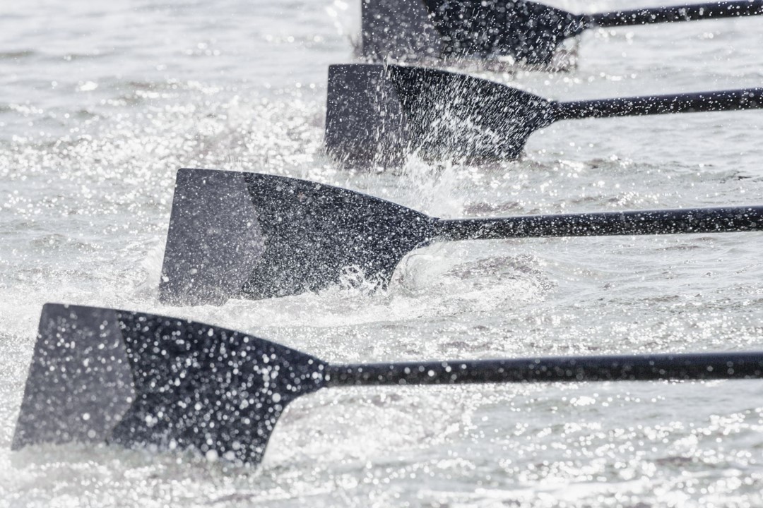 Rower paddles moving through the water in unison